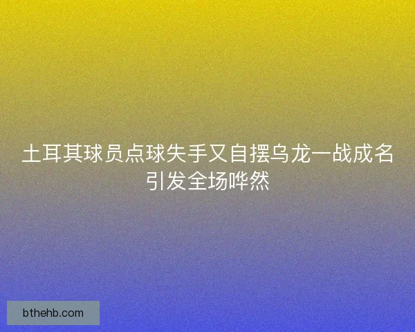 土耳其球员点球失手又自摆乌龙一战成名引发全场哗然 土耳其球员点球失手又自摆乌龙一战成名引发全场哗然