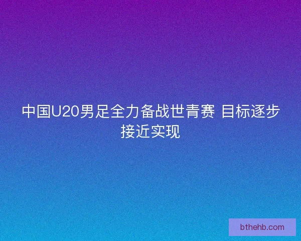 中国U20男足全力备战世青赛 目标逐步接近实现